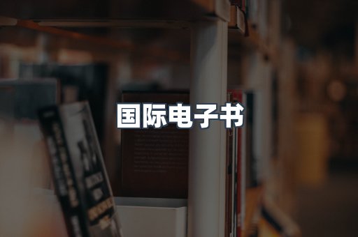 国际电子书